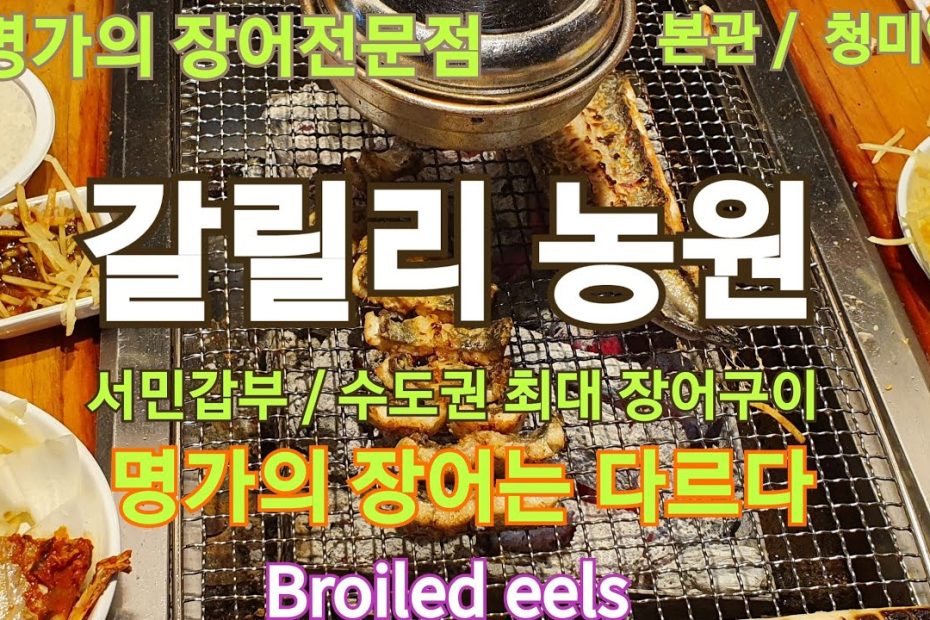[ASMR,맛집/먹방/장어구이]갈릴리 농원/갈릴리 청미안,수도권 최고의 장어구이 전문점,서민갑부,Broiled eels in korea,MUKBANG