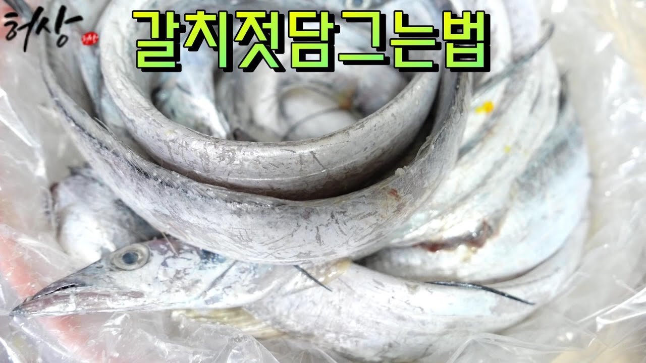 갈치젓 담그는법 겨울 먹갈치 담는법 갈치속젓 갈치손질법 32년 배선장의 팁!(Salted Cutlassfish)