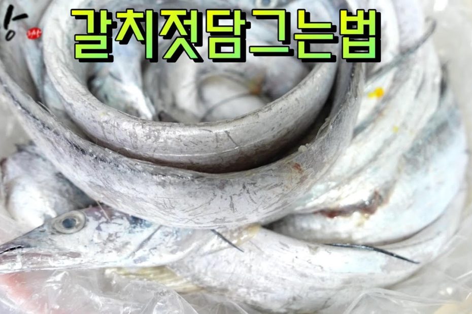 갈치젓 담그는법 겨울 먹갈치 담는법 갈치속젓 갈치손질법 32년 배선장의 팁!(Salted Cutlassfish)