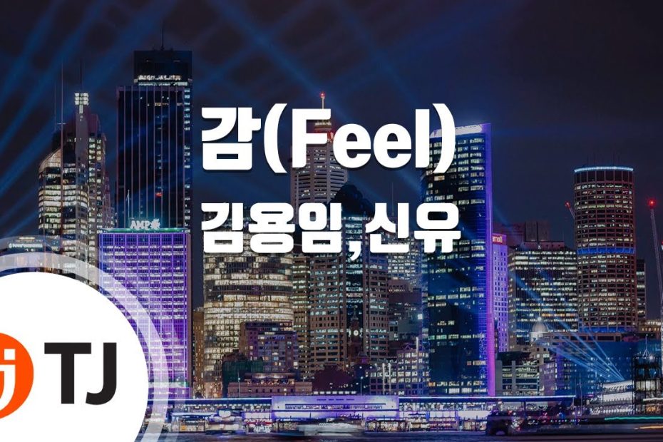 [TJ노래방] 감(Feel) - 김용임,신유 (Feel - Kim Yong Im & Shin Yu) / TJ Karaoke