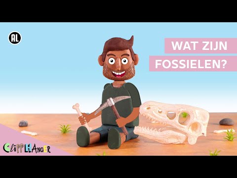 Wat zijn fossielen?