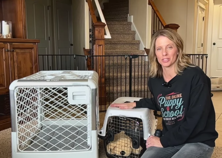 The First-Time Owner’s Blueprint: 10 Essential Tools for New Canine Parents in 2026