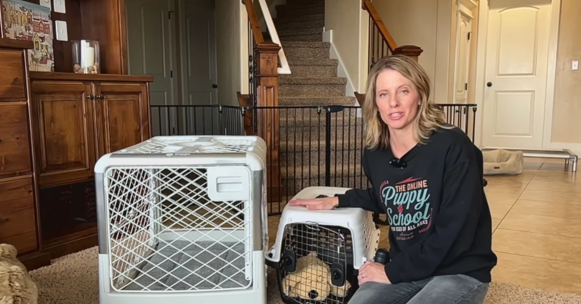 The First-Time Owner’s Blueprint: 10 Essential Tools for New Canine Parents in 2026