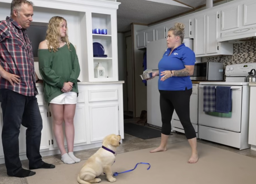 The Ultimate Guide to Canine Wellness: 10 Expert Strategies for a Healthy, Happy Dog in 2026