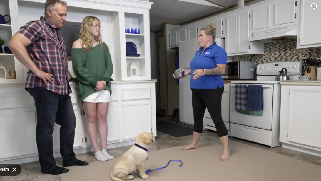 The Ultimate Guide to Canine Wellness: 10 Expert Strategies for a Healthy, Happy Dog in 2026