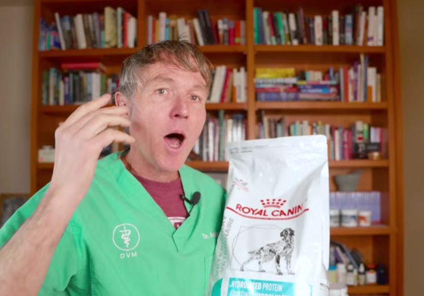 The Science of Bioavailability: Why Hydrolyzed Protein is the Gold Standard for Pet Nutrition in 2026